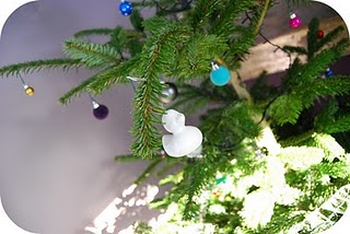 sapin1 sapin1