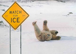 watch-for-ice watch-for-ice